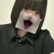 ヒメ日記 2026/07/24 19:02 投稿 りあい☆可愛い幼い18歳ぱいぱん PREMIUM萌え可愛いチョコレート～全てのステージで感動の体験を～