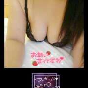 ヒメ日記 2025/01/04 16:57 投稿 メグ(奥方) 奥様幕府