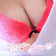 ヒメ日記 2025/02/07 23:07 投稿 メグ(奥方) 奥様幕府