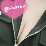 ヒメ日記 2025/02/08 05:07 投稿 メグ(奥方) 奥様幕府