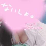 ヒメ日記 2025/02/08 19:57 投稿 メグ(奥方) 奥様幕府