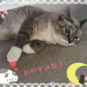 ヒメ日記 2025/02/23 04:00 投稿 元原☆Regular 岡山人妻デリヘルLipKiss