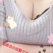 ヒメ日記 2025/03/30 09:58 投稿 元原☆Regular 岡山人妻デリヘルLipKiss