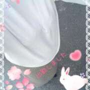 ヒメ日記 2025/03/30 12:12 投稿 元原☆Regular 岡山人妻デリヘルLipKiss