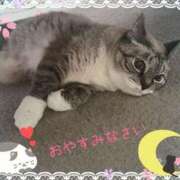 ヒメ日記 2025/04/24 02:40 投稿 元原☆Regular 岡山人妻デリヘルLipKiss