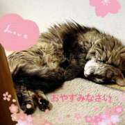 ヒメ日記 2025/08/07 02:58 投稿 元原☆Regular 岡山人妻デリヘルLipKiss