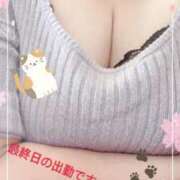 ヒメ日記 2025/10/28 08:28 投稿 元原☆Regular 岡山人妻デリヘルLipKiss