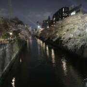 ヒメ日記 2025/04/12 11:18 投稿 ひすい 渋谷くいーんず