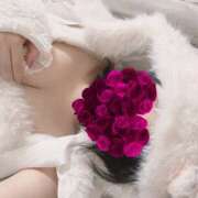 ヒメ日記 2025/04/12 14:25 投稿 かなで プロフィール奈良店