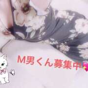 ヒメ日記 2025/07/06 13:21 投稿 かなで プロフィール奈良店