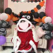 ヒメ日記 2025/10/28 12:04 投稿 かなで プロフィール奈良店