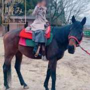 ヒメ日記 2025/03/19 16:23 投稿 あずさ 紳士の嗜み 大宮