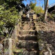 ヒメ日記 2025/03/20 23:25 投稿 あずさ 紳士の嗜み 大宮