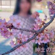 ヒメ日記 2025/04/25 22:02 投稿 あずさ 紳士の嗜み 大宮