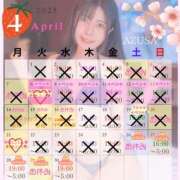 ヒメ日記 2025/04/26 00:25 投稿 あずさ 紳士の嗜み 大宮