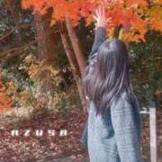 ヒメ日記 2025/11/20 19:02 投稿 あずさ 紳士の嗜み 大宮