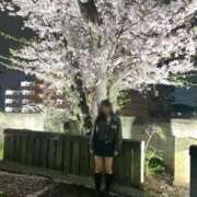 ヒメ日記 2026/04/05 00:12 投稿 あずさ 紳士の嗜み 大宮