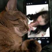 ヒメ日記 2025/11/26 20:23 投稿 りつ 熟女の風俗最終章 八王子店