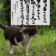 ヒメ日記 2026/02/26 13:33 投稿 りつ 熟女の風俗最終章 八王子店