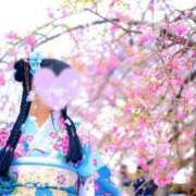 ヒメ日記 2026/03/31 01:53 投稿 りつ 熟女の風俗最終章 八王子店