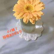 ヒメ日記 2025/04/15 22:17 投稿 ほのか マダムハンズ