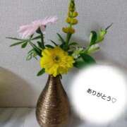 ヒメ日記 2025/10/24 15:40 投稿 ほのか マダムハンズ