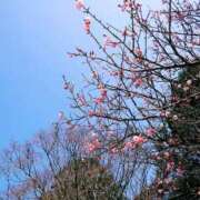 ヒメ日記 2025/03/24 21:01 投稿 ななえ 佐賀人妻デリヘル 「デリ夫人」