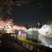 ヒメ日記 2025/04/09 19:06 投稿 まい 完熟ばなな新宿