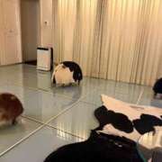 ヒメ日記 2024/12/15 01:18 投稿 せいか シークレットサービス