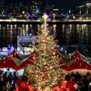 ヒメ日記 2024/12/24 14:33 投稿 せいか シークレットサービス