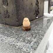 ヒメ日記 2025/01/15 17:39 投稿 せいか シークレットサービス