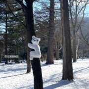 ヒメ日記 2025/01/16 13:12 投稿 せいか シークレットサービス