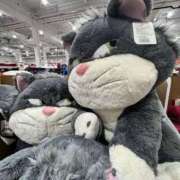 ヒメ日記 2025/03/07 18:12 投稿 せいか シークレットサービス