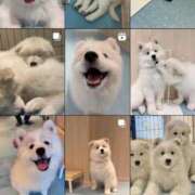 ヒメ日記 2025/03/18 10:36 投稿 せいか シークレットサービス