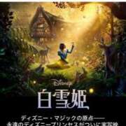 ヒメ日記 2025/03/20 23:48 投稿 せいか シークレットサービス