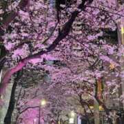 ヒメ日記 2025/04/01 00:19 投稿 せいか シークレットサービス