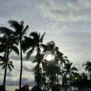 ヒメ日記 2025/05/16 14:18 投稿 せいか シークレットサービス