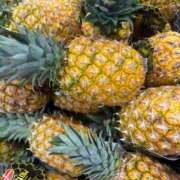 ヒメ日記 2025/05/17 16:33 投稿 せいか シークレットサービス