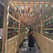 ヒメ日記 2025/08/19 12:18 投稿 せいか シークレットサービス