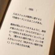 ヒメ日記 2025/08/21 00:39 投稿 せいか シークレットサービス