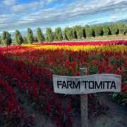 ヒメ日記 2025/08/30 09:12 投稿 せいか シークレットサービス