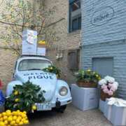 ヒメ日記 2025/09/23 16:06 投稿 せいか シークレットサービス