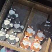 ヒメ日記 2025/09/27 19:54 投稿 せいか シークレットサービス