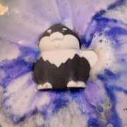 ヒメ日記 2025/10/02 23:54 投稿 せいか シークレットサービス