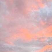 ヒメ日記 2025/10/10 15:00 投稿 せいか シークレットサービス