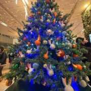 ヒメ日記 2025/12/17 17:42 投稿 せいか シークレットサービス