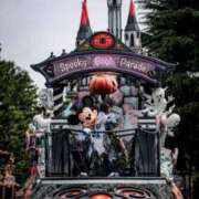 ヒメ日記 2026/02/13 13:48 投稿 せいか シークレットサービス