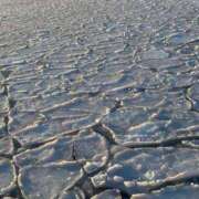 ヒメ日記 2026/02/21 15:19 投稿 せいか シークレットサービス