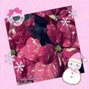 ヒメ日記 2024/12/12 04:36 投稿 立花 熟女デリヘル倶楽部