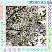 ヒメ日記 2025/04/04 03:20 投稿 立花 熟女デリヘル倶楽部